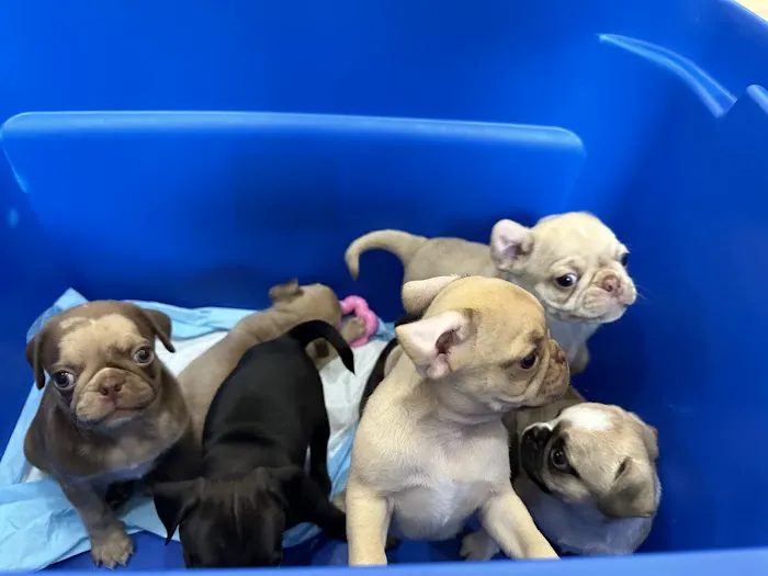 Hart Animal Clinic Picture 2