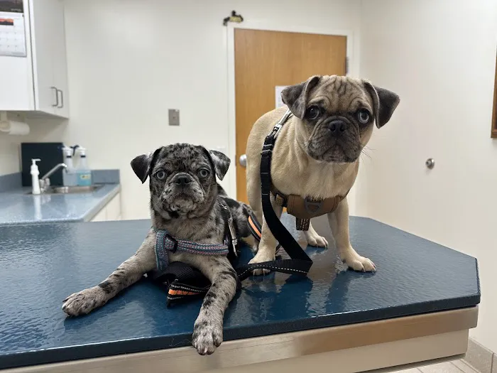 Hart Animal Clinic Picture 1