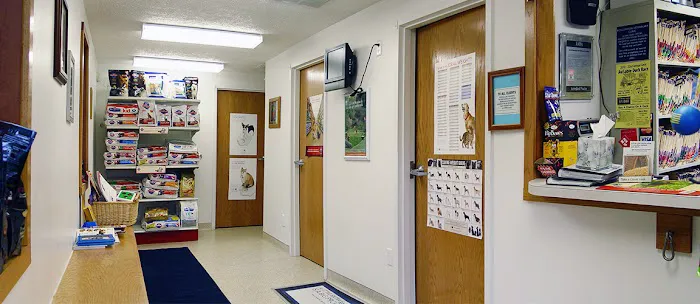 Roscommon Veterinary Clinic Picture 6