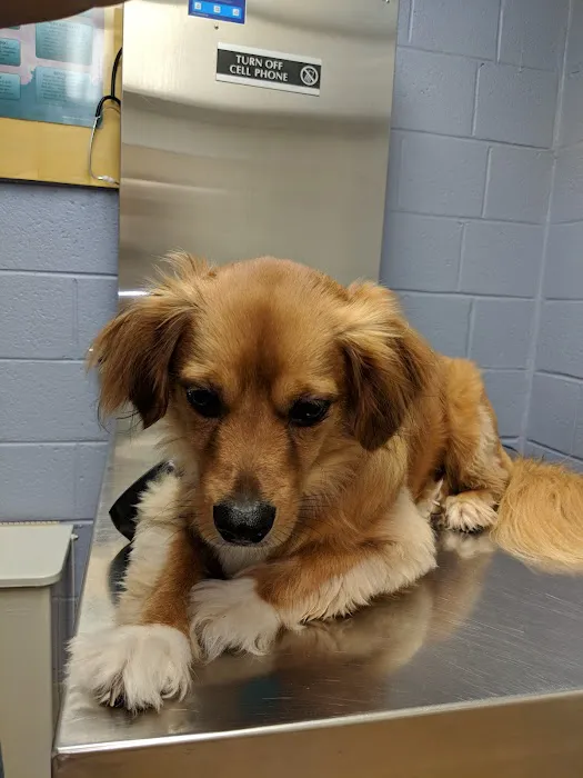 Fort Gordon Veterinary Treatment Facility Picture 3
