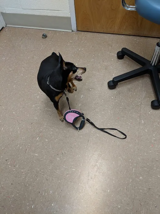 Fort Gordon Veterinary Treatment Facility Picture 4
