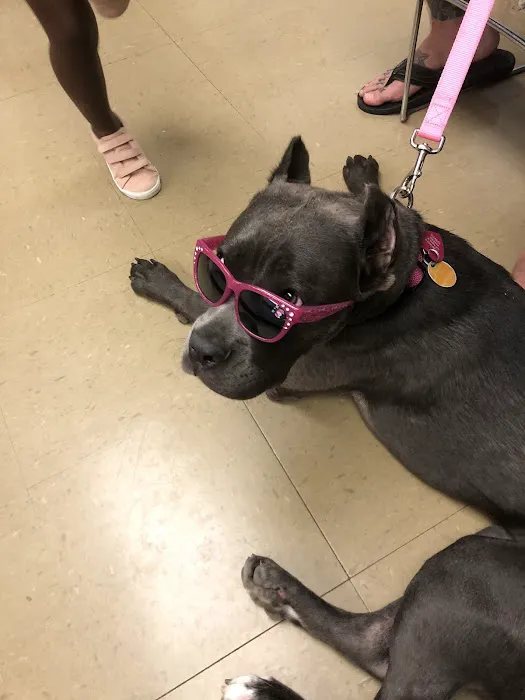 Fort Gordon Veterinary Treatment Facility Picture 10
