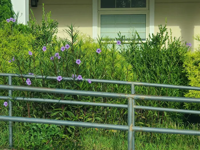 Dogwood Park Animal Clinic Picture 8