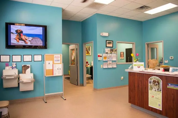 Dogwood Park Animal Clinic Picture 9