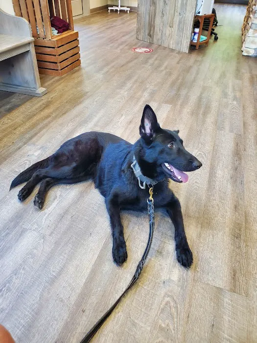 Sanderlin Veterinary Hospital Picture 2