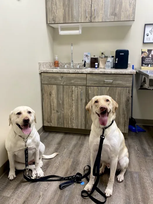 Sanderlin Veterinary Hospital Picture 4