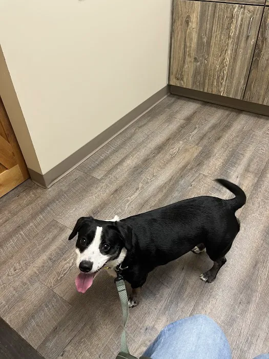 Sanderlin Veterinary Hospital Picture 3