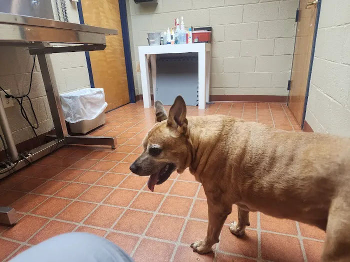 Gwinnett Animal Hospital Picture 1
