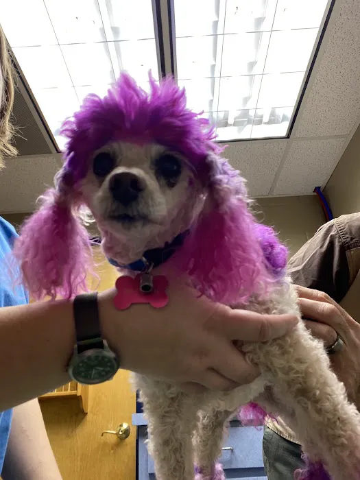 Gwinnett Animal Hospital Picture 4