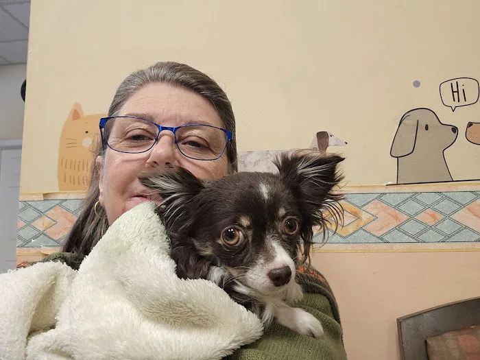 Budget Vet Picture 5