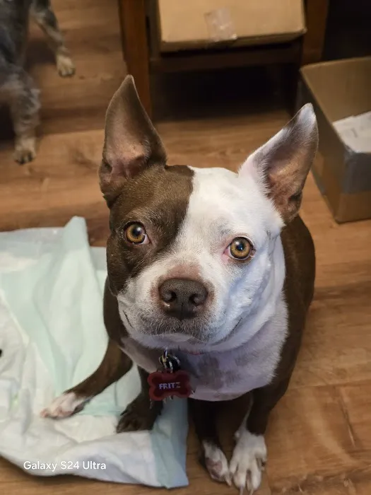 Spring Lake Animal Hospital Picture 2