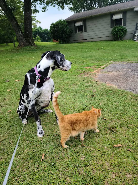 Dennis Veterinary Clinic Picture 2