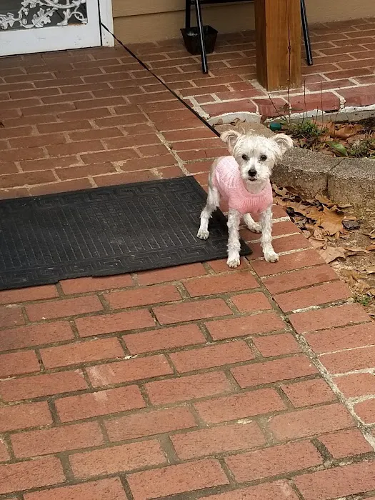 Dennis Veterinary Clinic Picture 10