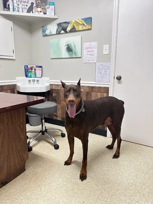 Sigman Veterinary Clinic Picture 3