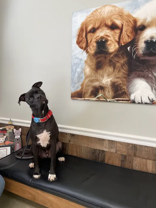 Sigman Veterinary Clinic Picture 1