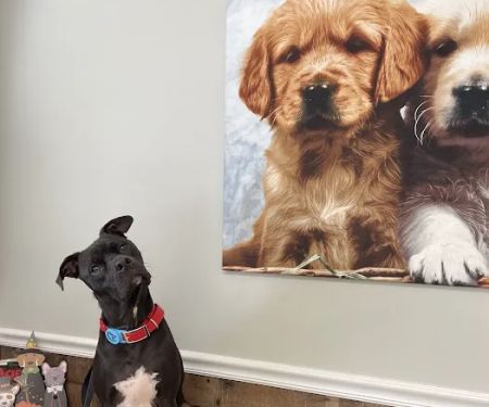 Sigman Veterinary Clinic