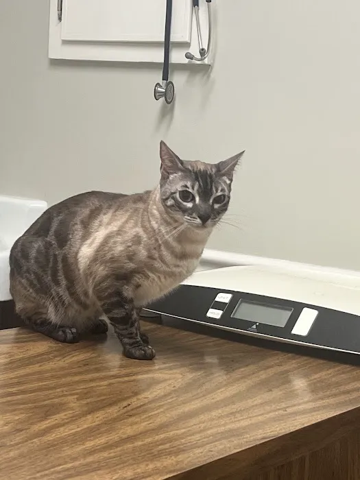 Sigman Veterinary Clinic Picture 4