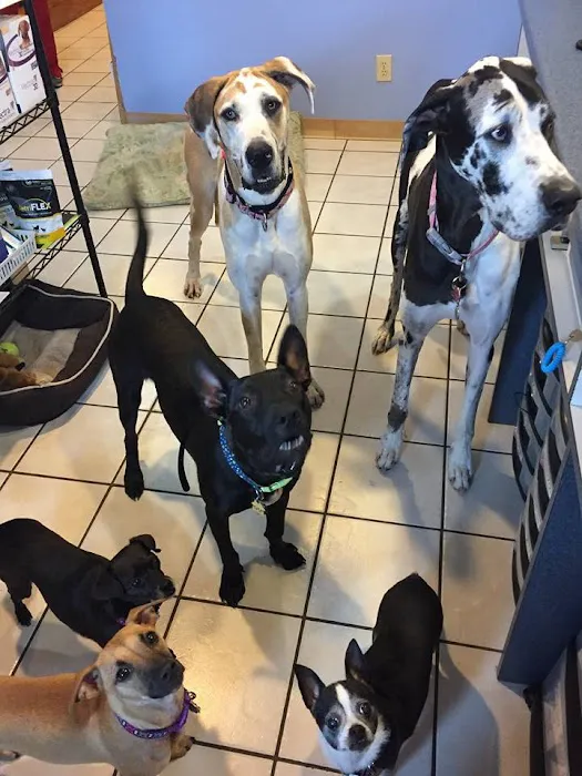 American Heritage Animal Hospital Picture 2