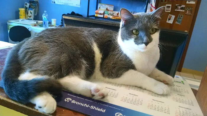 American Heritage Animal Hospital Picture 8