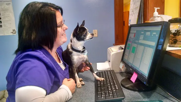 American Heritage Animal Hospital Picture 5