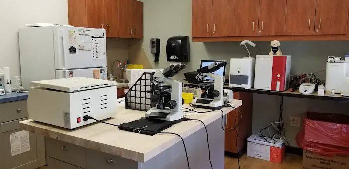 Ross Animal Hospital & Rehabilitation Center P.C. Picture 3