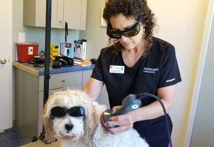 Ross Animal Hospital & Rehabilitation Center P.C. Picture 5
