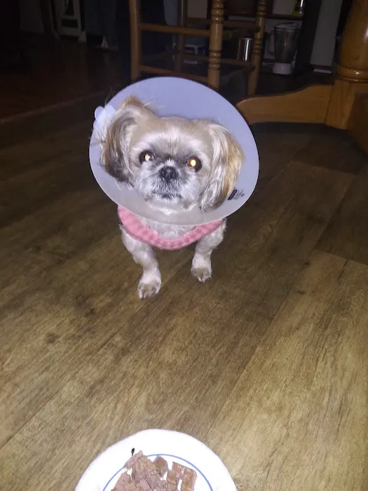 Social Circle Veterinary Hospital Picture 8
