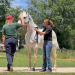 Barrow Veterinary Services