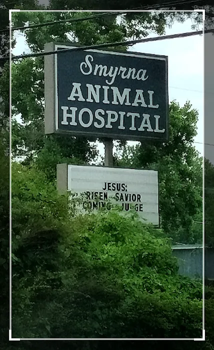 Smyrna Animal Hospital: Griffith Robert A DVM Picture 4