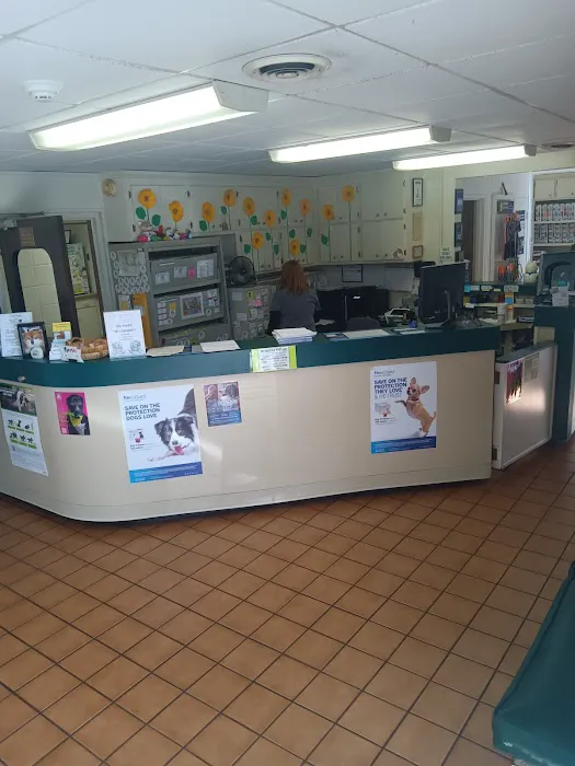 Smyrna Animal Hospital Picture 2
