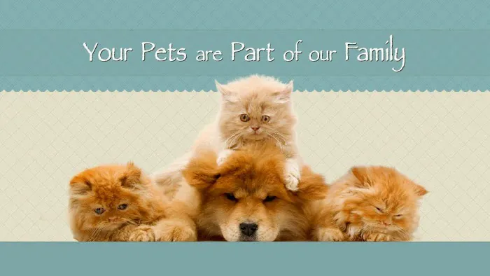 Smyrna Animal Hospital Picture 1