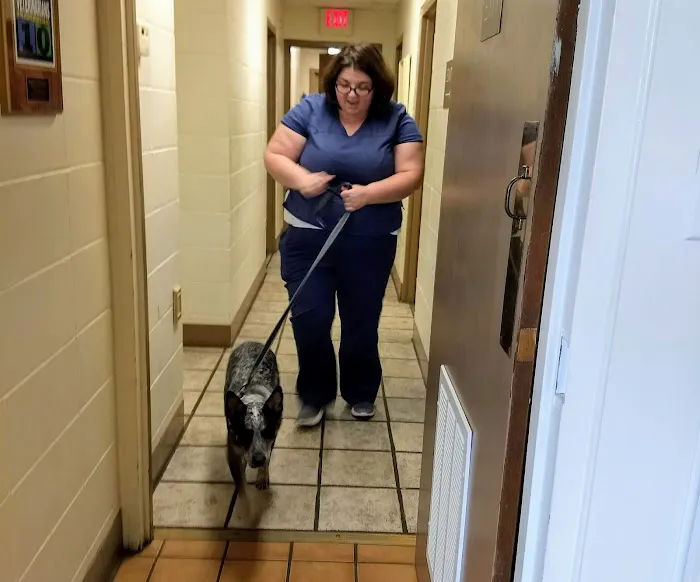 Smyrna Animal Hospital Picture 9