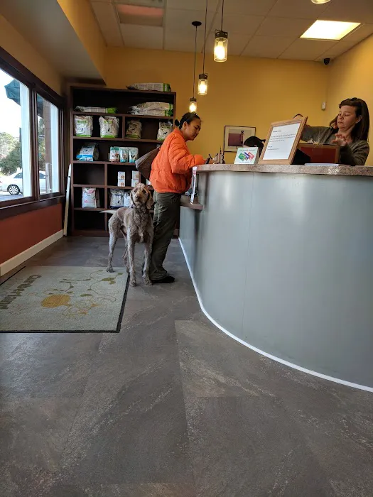 Cumberland Animal Clinic Picture 1