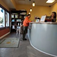 Cumberland Animal Clinic ico