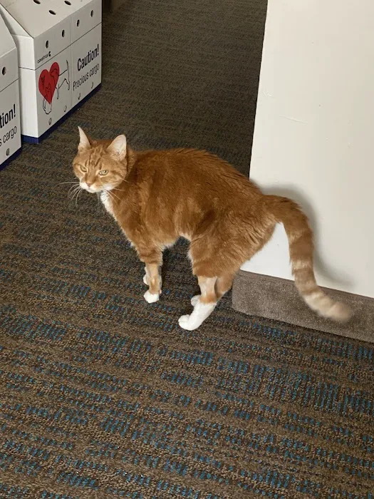 Cumberland Animal Clinic Picture 4