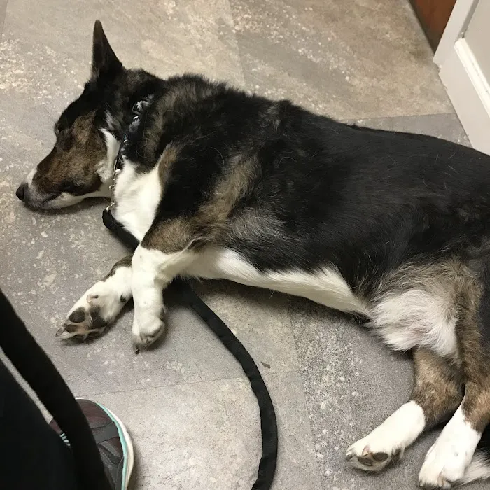 Cumberland Animal Clinic Picture 7