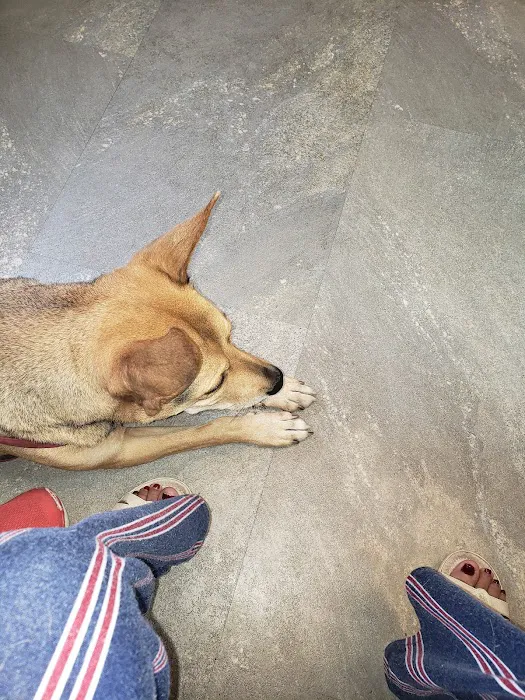 Cumberland Animal Clinic Picture 9