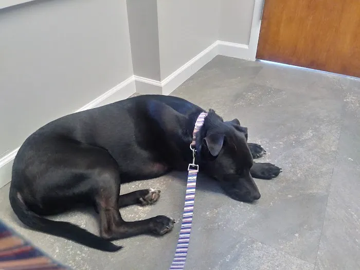 Cumberland Animal Clinic Picture 6