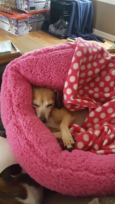 Santa Marietta Animal Hospital LLC Picture 6