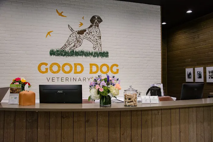 Good Dog Veterinary Care Smyrna Picture 6