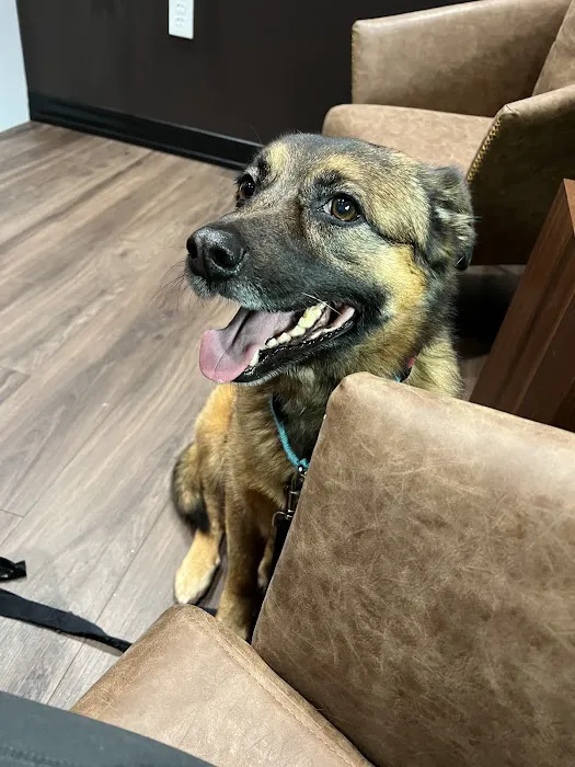 Good Dog Veterinary Care Smyrna Picture 3