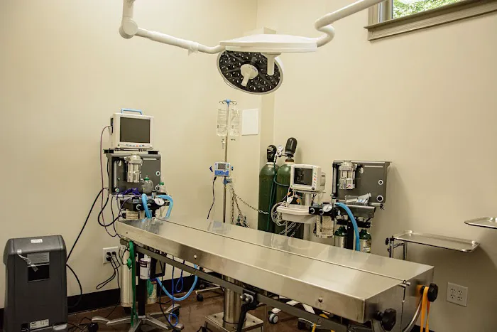 Good Dog Veterinary Care Smyrna Picture 9