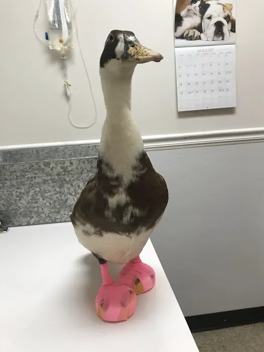 Riverview Veterinary Hospital Picture 1