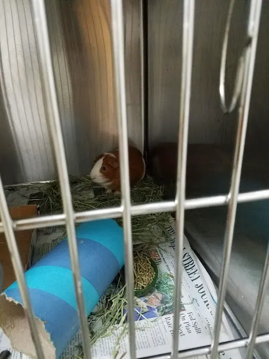 Riverview Veterinary Hospital Picture 3