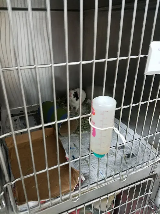 Riverview Veterinary Hospital Picture 5