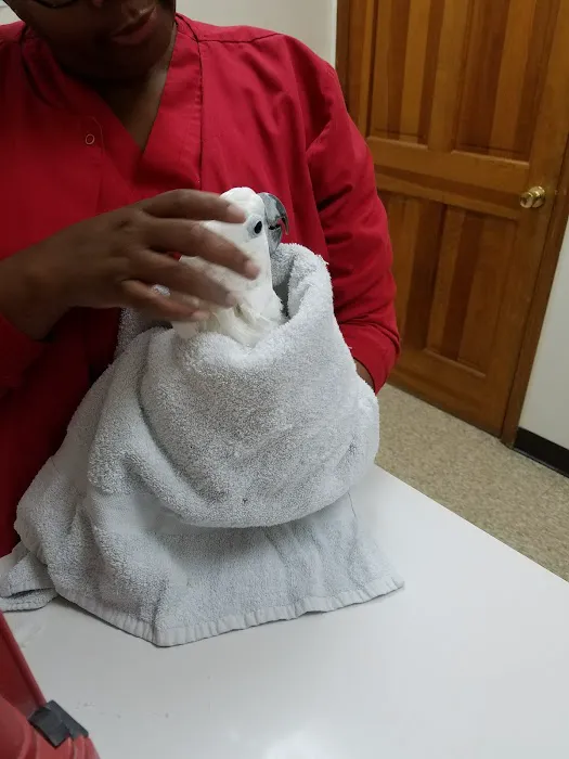 Riverview Veterinary Hospital Picture 6