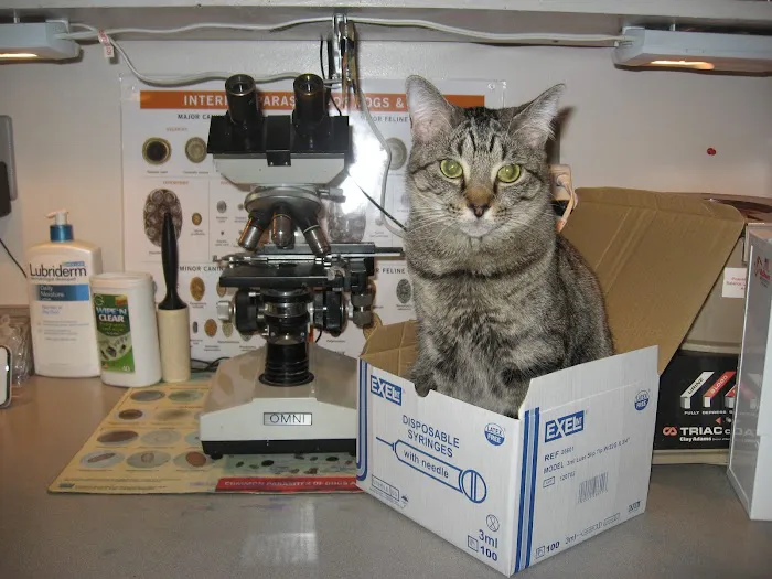 Riverview Veterinary Hospital Picture 8