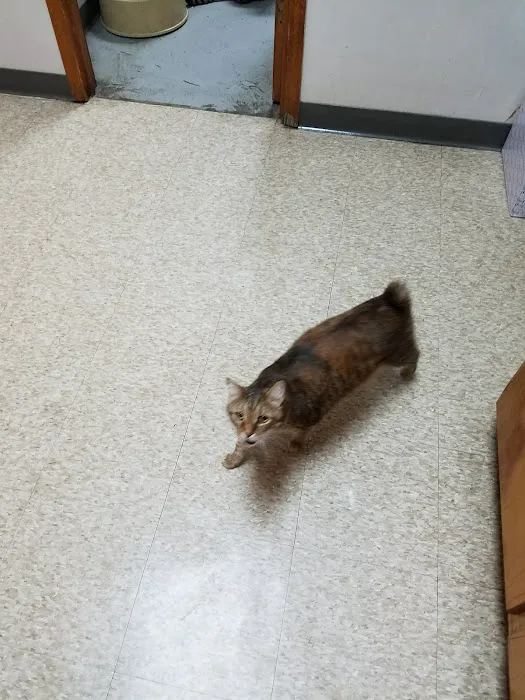 Riverview Veterinary Hospital Picture 4