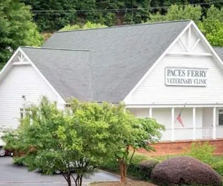 Paces Ferry Veterinary Clinic