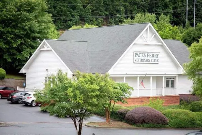 Paces Ferry Veterinary Clinic Picture 9